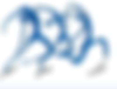 Yang Taiji Quan Meetings And Leisure