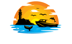 Aquaventures Whale & Dolphin Watching Tours, Diving & Snorkel Rental