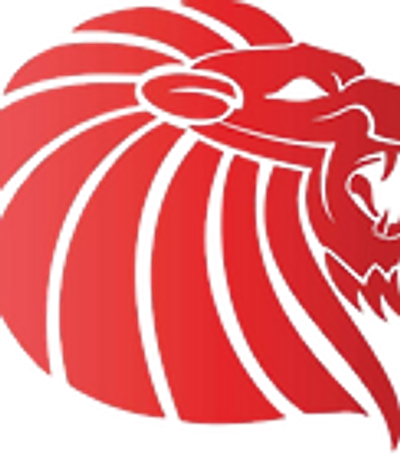 Keira Cricket Club | Home of the Keira Lions