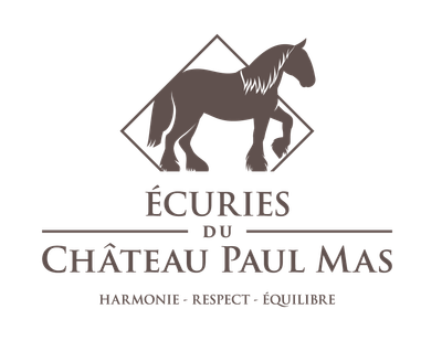 Les Écuries Du Château Paul Mas