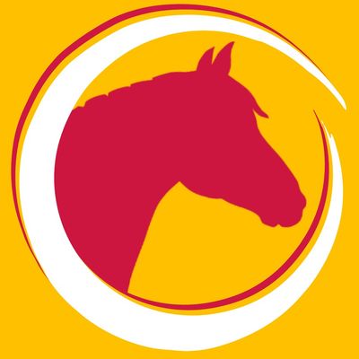 Canberra Riding Club Pony Club