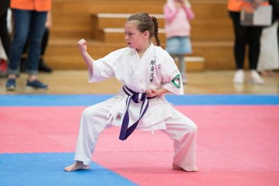 Kenshin Karate Langwarrin