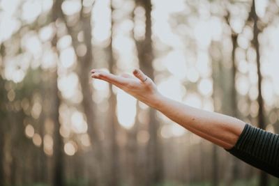 This Is Yoga | Randwick | Clovelly | Online Yoga