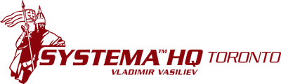 Systema Russian Martial Art by Vladimir Vasiliev