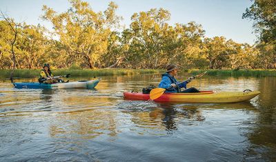 Murray River canoe trails