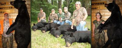 Flint Wilderness Resort