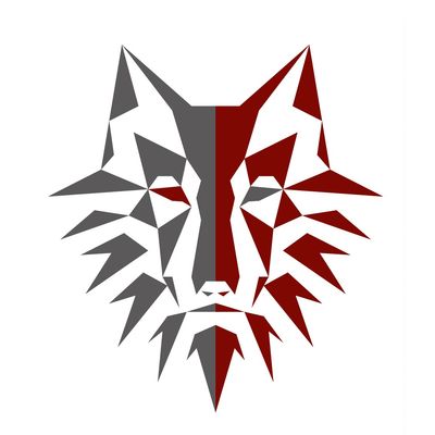 Apex Self Defence Sydney