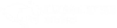 Cuddlefish Divers