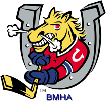 Barrie Minor Hockey Association