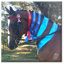 Karelia Riding Instruction Canberra
