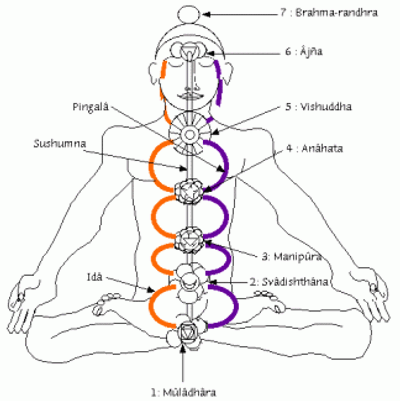Yogam