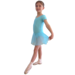 Redhurst Schools of Dancing