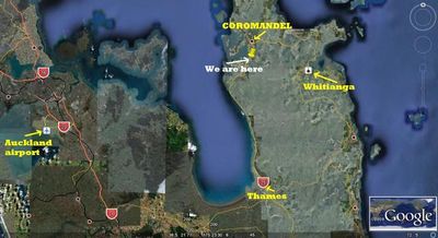 Coro Cowboy Fishing Charters