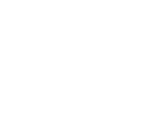 The Body Engineer Personal Trainer