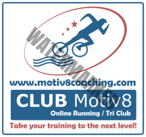 Motiv8 Coaching