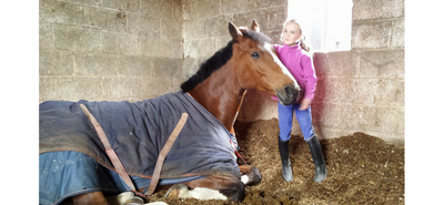 Duffys Equestrian Centre