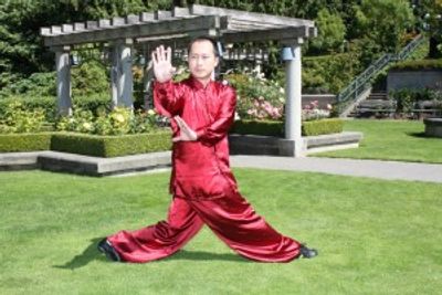 YS Traditional Chinese Medicine and Martial Arts College