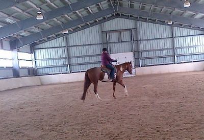 Y NOT FARMS & EQUESTRIAN CENTRE