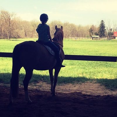 Great Lakes Stables