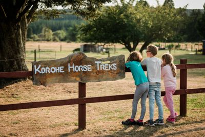 Korohe Horse Treks