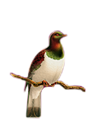 Northland Golf Club Northland Golf Club