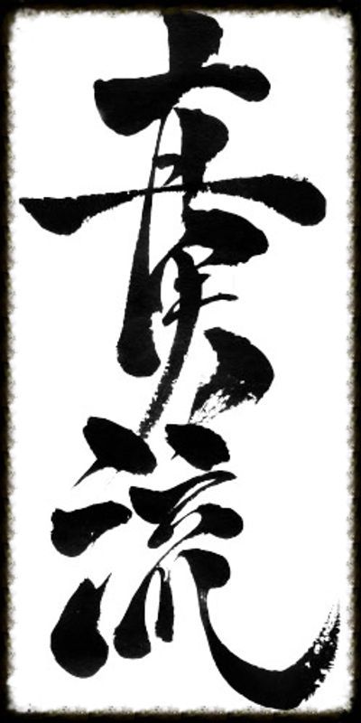 Koryu Shinjitsu-Ryu Karate-Do
