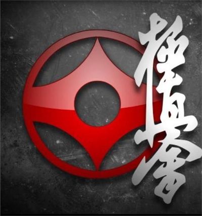 Kyokushin Karate Narre Warren Dojo