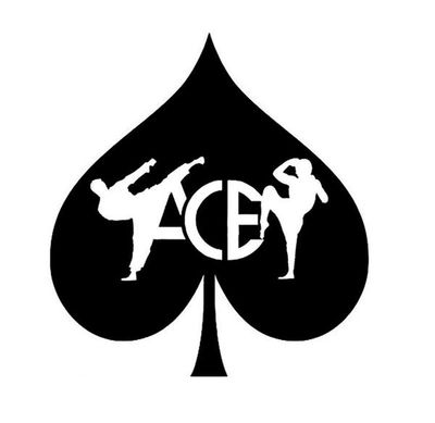 ACE Taekwondo Academy