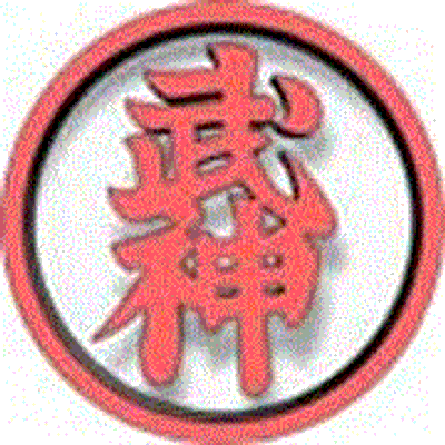 Bujinkan North Brisbane