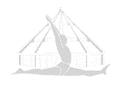 Iyengar Yoga Institute of Bondi Junction