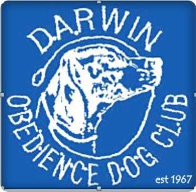 Darwin Obedience Dog Club