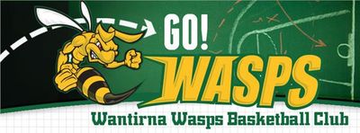 Wantirna Wasps Basketball Club