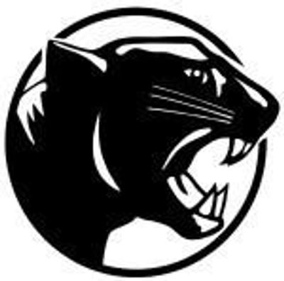 Surrey Park Football Club