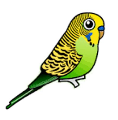 Budgies Tennis Coaching