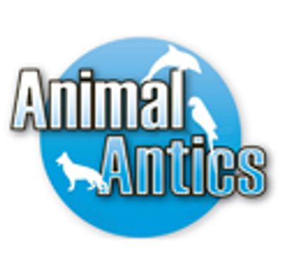 Animal Antics