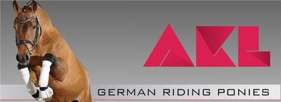 AKL German Riding Ponies