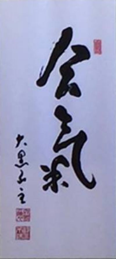 Aikido Kenkyukai International Fudoshin Dojo Sunshine Coast