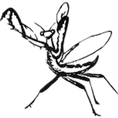 Tong Long Kung Fu Academy