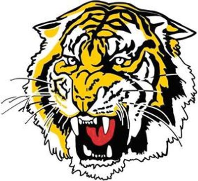 Mitcham Cricket Club