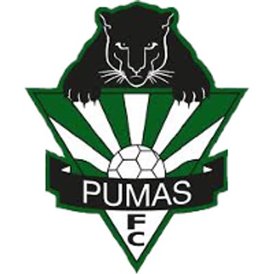Hills Pumas Football Club 