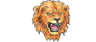 Lion Bushido Karate Academy (Wantirna)