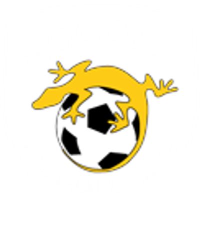 Moggill Football Club