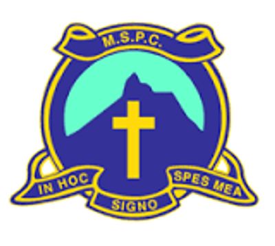 Mt St Patricks College