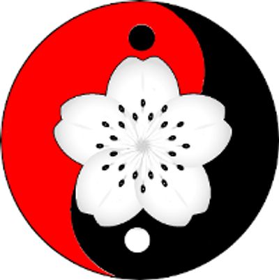 Mui Wing Chun Wu Shu Academy