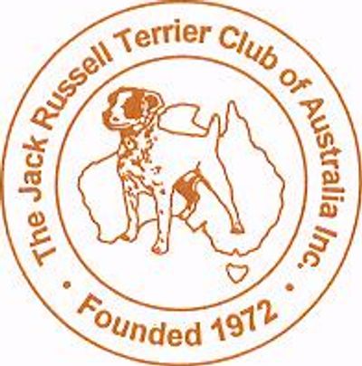 Jack Russell Terrier Club of Qld