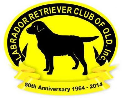 Labrador Retriever Club of Qld Inc.