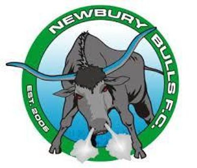 Newbury Bulls Soccer Club