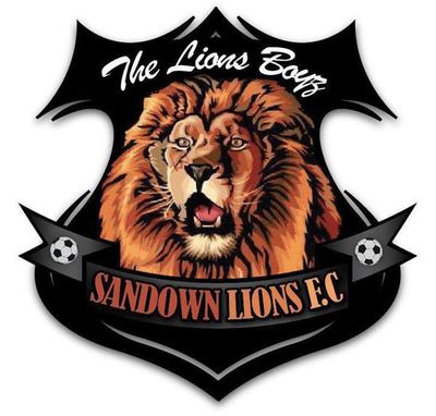 Sandown Lions Football Club