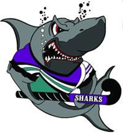 Sharks (Manning Valley Hockey Association)
