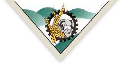 Wongan-Ballidu Shire